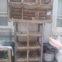 کنجه جفت کن