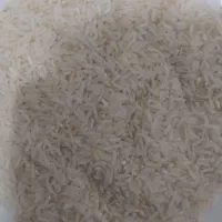 برنج هاشمی امسال
