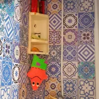 سوئیت مستقل و تمیز و نقلی|اجارهٔ کوتاه‌مدت آپارتمان و سوئیت|شیراز, گویم|دیوار