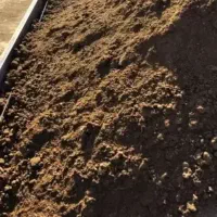 کود گاوی بارگاوی