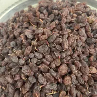 کشمش افتابی