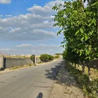 زمین-250-متری-با-سند-در-دماوند