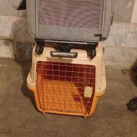 لوازم گربه و سگ