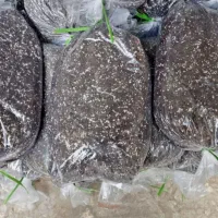 خاک برگ گلدان|گل و گیاه طبیعی|بسطام, |دیوار