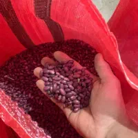 فروش عمده لوبیا چیتی و لوبیا قرمز|خوردنی و آشامیدنی|تهران, شهرک محلاتی|دیوار