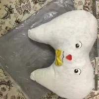 بالشت تم دندونی