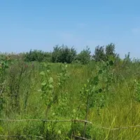۵۰۰ متر زمین مسکونی  واقع درجاده  رشت فومن آتشگاه|فروش زمین و ملک کلنگی|رشت, آتشگاه|دیوار
