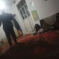 میاندوآب  کوی بهی یک باب خانه کلنگی