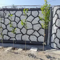 سیمان کاری|مصالح و تجهیزات ساختمان|اردبیل, |دیوار