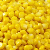 باقالی سبز لوبیاسبز نخودفرنگی باقالاقاتق و....|خوردنی و آشامیدنی|تهران, ائمه اطهار|دیوار