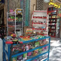 استخدام خانم