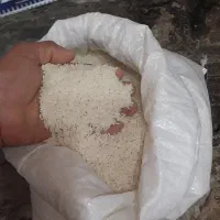 برنج مرغوب طارم هاشمی