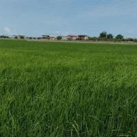 پیش فروش واحد ویلایی روستای ساحلی آغچه|پیش‌فروش املاک|بوئین و میاندشت, |دیوار