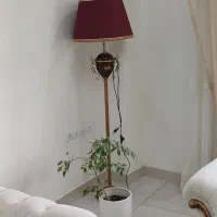 آباژور نو