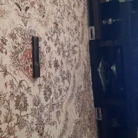 نیز تلویزیون