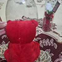 ۲ عدد تنگ عروسک|اسباب‌‌بازی|مشهد, کوی سیدی|دیوار