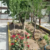 ویلا اجاره نیاسر|اجارهٔ کوتاه‌مدت ویلا و باغ|نیاسر, |دیوار