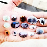 تعداد 60 عدد سنگ شجر|بدلیجات|تهران, هفت حوض|دیوار