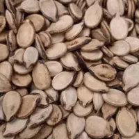 فروش درشیراز|خوردنی و آشامیدنی|شیراز, دست خضر|دیوار