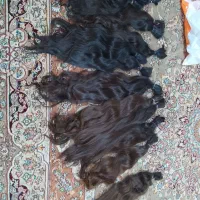 خرید موهای طبیعی و رنگی مخصوصا موی پور یا طلای