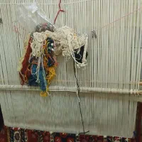 قالی ۴ متری تروتمیز