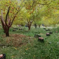 فروش زمین گلخانه ای