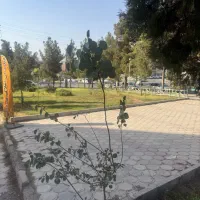 واحداداری مخصوص همه مشاغل مطب دفترخانه|فروش دفتر کار، اتاق اداری، مطب|هشتگرد, فاز ۱ مهستان|دیوار