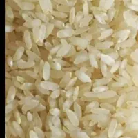 برنج کامفیروزی به شرط|خوردنی و آشامیدنی|شیراز, کوشک میدان|دیوار