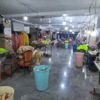 به تعدادی وسط کار نیاز داریم خانم یا اقا