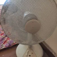 پنکه زمینی