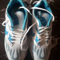 کفش کتانی نایک