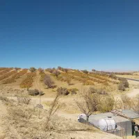 فروش یا معاوضه باغچه500متری هفت برم|فروش زمین و ملک کلنگی|ارژن, |دیوار