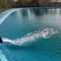 فروش ورق استخر(ژئوممبران)