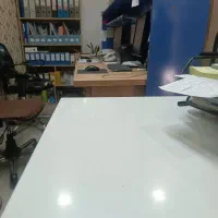 منشی خانم
