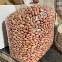 بادام زمینی مغان