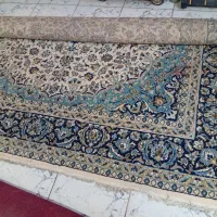 موکت|موکت|خرمشهر, |دیوار