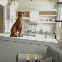 اجاره سوییت آپارتمان سویت سوئیت مبله تمیز|اجارهٔ کوتاه‌مدت آپارتمان و سوئیت|مشهد, الهیه|دیوار