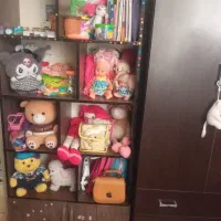 کمد لباس و یک عدد کتابخانه