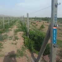 فروش پایه فنس و بتنی با کیفیت، و فنس|عمدهفروشی|سنقر, |دیوار