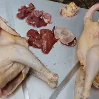 محصولات محلی|خوردنی و آشامیدنی|رشت, بوسار|دیوار