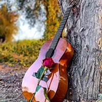 سورپرایز تلفنی|گیتار، بیس، امپلیفایر|خمین, |دیوار