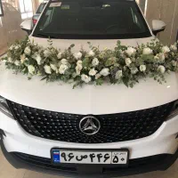 ماشین عروس ارزان در منطقه ۱ زعفرانیه ولنجک و...