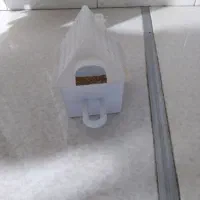 لونه فنچ