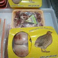 استخدام نیروی کار