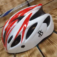 ایمنی سطح حرفه ای و مدرن