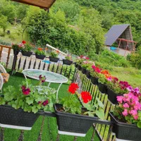 کلبه چوبی دوبلکس جنگلی زیر بام سبز ماسال