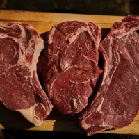 استخدام بی خس کار گوسفندی