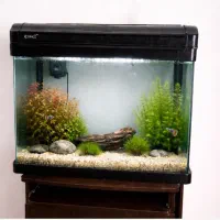 آکواریوم شیشه خم شرکتی