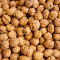 گردو پر مغز