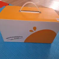 شیردوش برقی داپسر